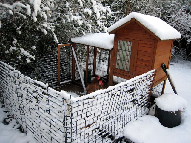 [snow3[5].jpg]