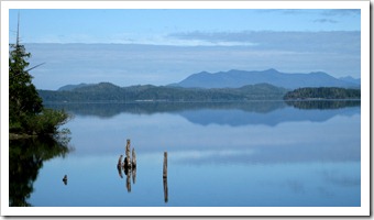 IMG_2724 IMG_2724