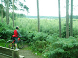 DSCF9162.JPG