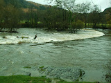 Walk to Horseshoe Falls, Nov 09