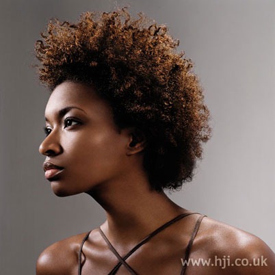 [2006-afro-curls[1][8].jpg]