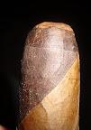 DSC05851.JPG