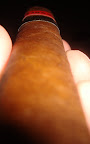 DSC05811.JPG