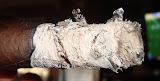 DSC06971.JPG
