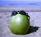 28559-HolidayBeach2019