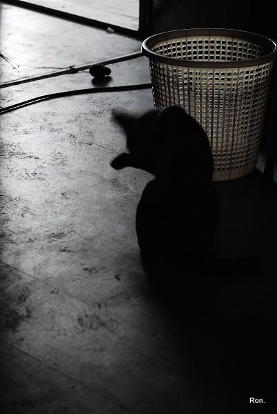 DSC_0481.jpg