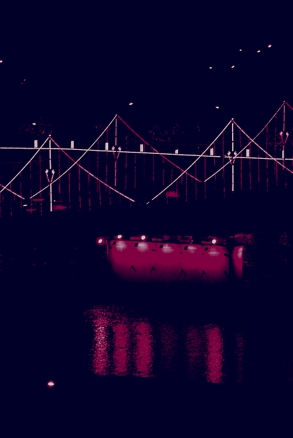 DSC_6513.jpg