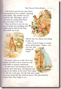 peter rabbit_9 peter rabbit_9