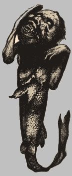 [Feejee_mermaid[3].jpg]