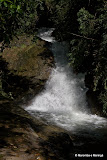 Cachoeiras_Visconde_de_Maua - 4423.jpg