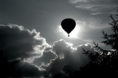 Beautiful Black and White Photography
