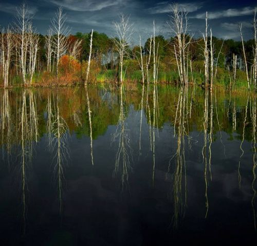20
Beautiful Reflective Nature Photography