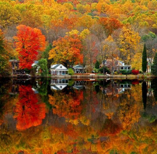 20
Beautiful Reflective Nature Photography