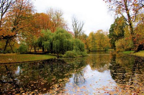 20
Beautiful Reflective Nature Photography