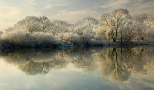 20
Beautiful Reflective Nature Photography