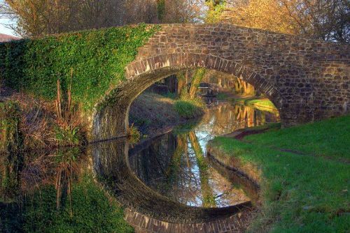 20
Beautiful Reflective Nature Photography