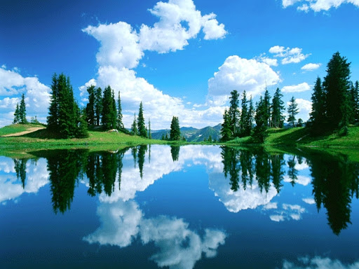 20 Beautiful Reflective Nature Photography