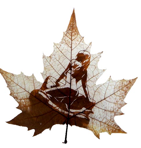 Amazing Examples
of Leaf Carving Art