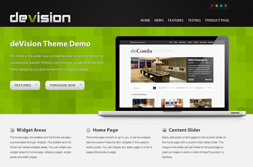 Professional WordPress Themes for Business Websites 