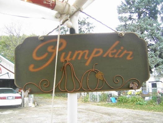 [Pumpkin Farm Oct 2009 026[4].jpg]