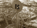 Disc Golf