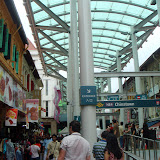 DSC02741.jpg