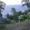 DSCN5296.JPG