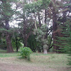 DSCN5313.JPG