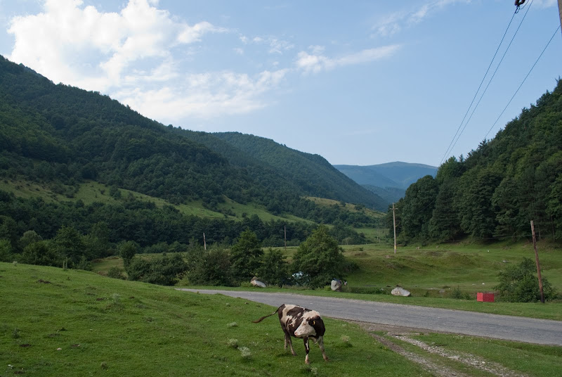 DSC_6746.jpg