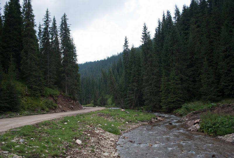 DSC_6795.jpg
