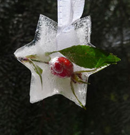 isstjärna
