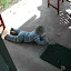 DSCN1723.JPG