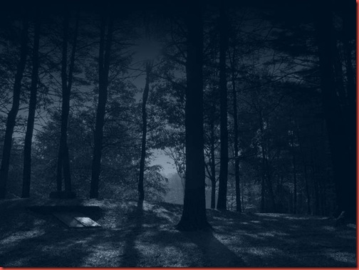 dark_forest_by_sonnenradbanner