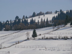 DSC00337.JPG