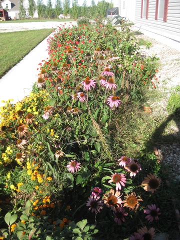 [faded_flowers[2].jpg]