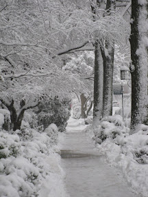 Snow in Forest Hills 2010