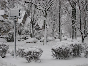 Snow in Forest Hills 2010