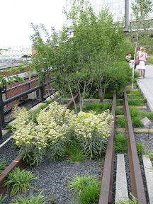 The High Line Park