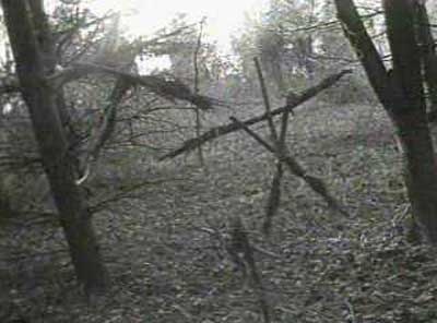 [blair-witch-project-photo2[4].jpg]