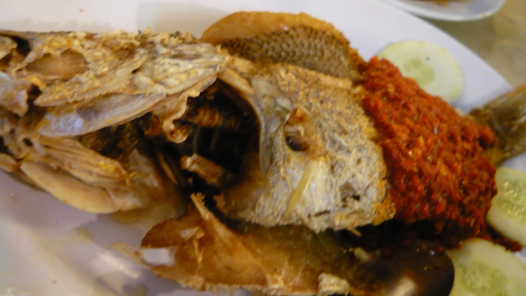[P1150295[19].jpg]