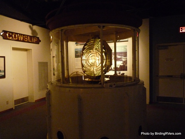 [P1000752[3].jpg]