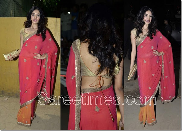 sarah jane dias in saree sarah jane dias in pink saree at 56th film fare awards sarah jane dias in saree sarah jane dias in pink saree at 56th film fare awards
