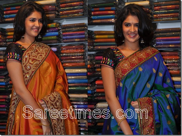 Deeksha_Traditional_Saree