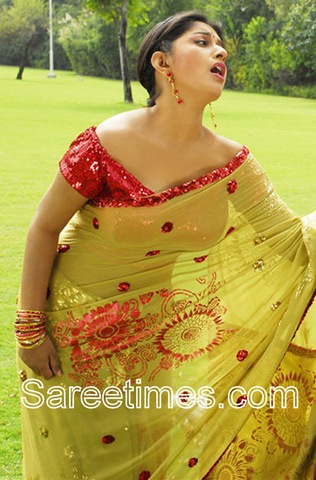 [Meera_Jasmine_Green_Saree[3].jpg]