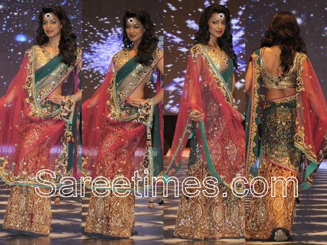 [Mugdha_Godse_Bridal_Saree[3].jpg]