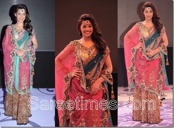Mughda_Godse_Embroidery_Saree