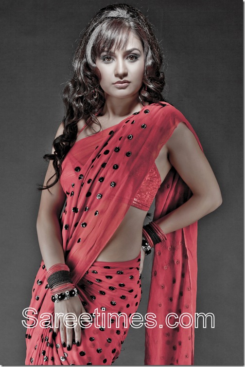 Liza_Malik_Red_Saree