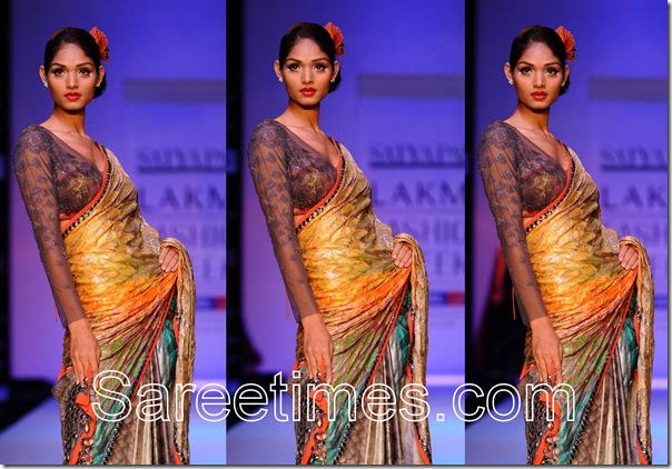 Satya_Paul _Full_Sleeves_Saree_Blouse