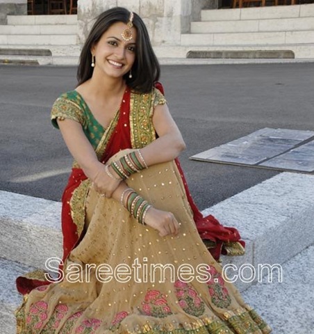 [Kriti_Kharbanda_Half_ Saree[3].jpg]