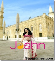 Celina_Jaitley_Designer_Saree (3)